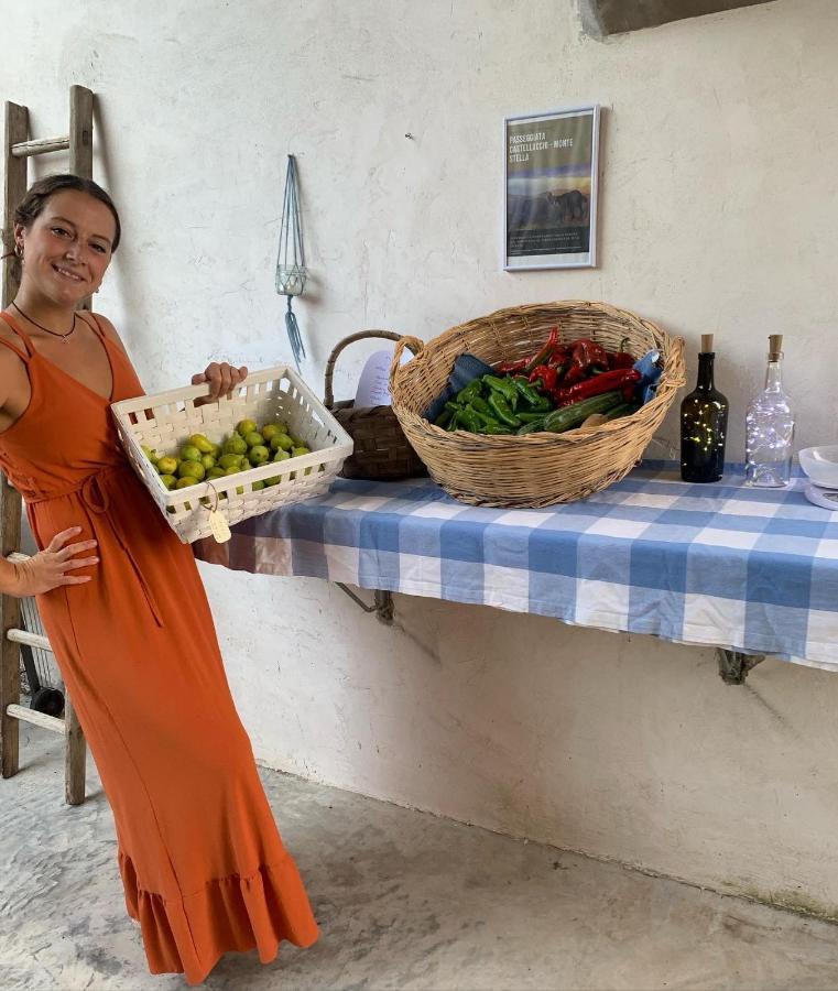 La Corte Di Montagna San Mango 外观 照片